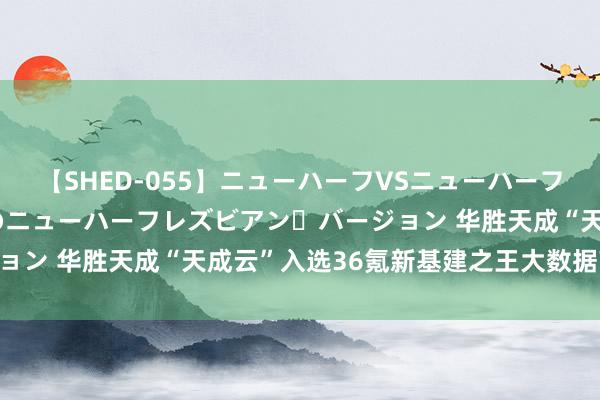 【SHED-055】ニューハーフVSニューハーフ 不純同性肛遊 2 魅惑のニューハーフレズビアン・バージョン 华胜天成“天成云”入选36氪新基建之王大数据范畴50强