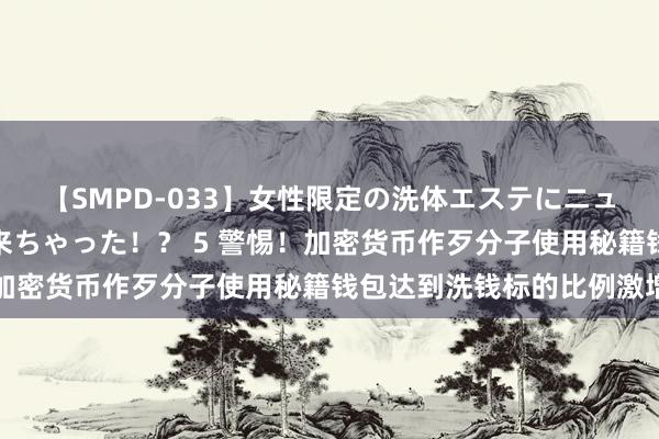 【SMPD-033】女性限定の洗体エステにニューハーフのお客さんが来ちゃった！？ 5 警惕！加密货币作歹分子使用秘籍钱包达到洗钱标的比例激增