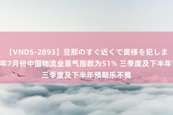 【VNDS-2893】旦那のすぐ近くで奥様を犯します。 2024年7月份中国物流业景气指数为51% 三季度及下半年预期乐不雅