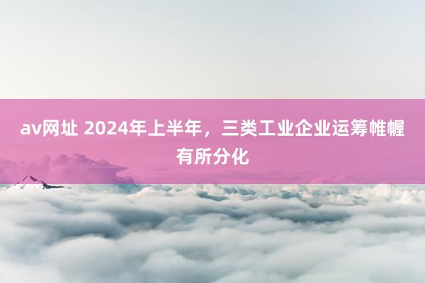 av网址 2024年上半年，三类工业企业运筹帷幄有所分化