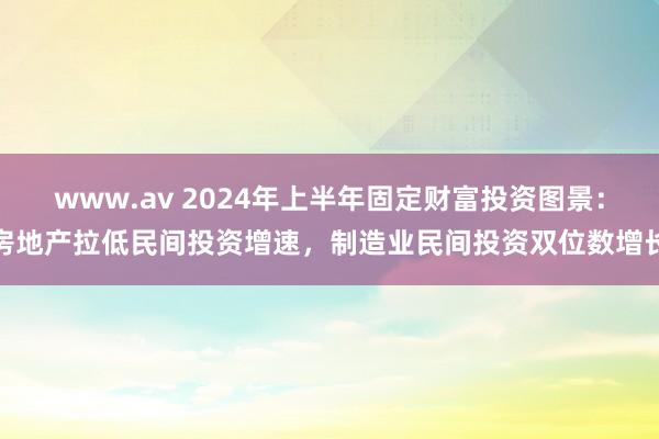 www.av 2024年上半年固定财富投资图景：房地产拉低民间投资增速，制造业民间投资双位数增长