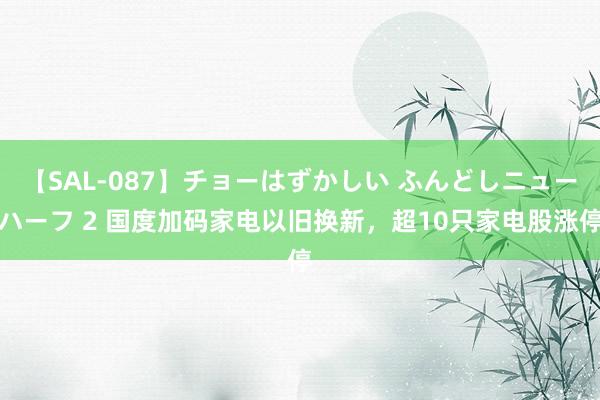 【SAL-087】チョーはずかしい ふんどしニューハーフ 2 国度加码家电以旧换新，超10只家电股涨停