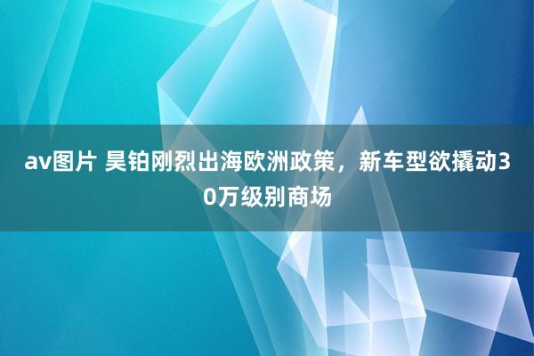 av图片 昊铂刚烈出海欧洲政策，新车型欲撬动30万级别商场