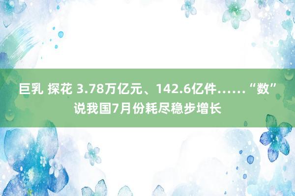 巨乳 探花 3.78万亿元、142.6亿件……“数”说我国7月份耗尽稳步增长