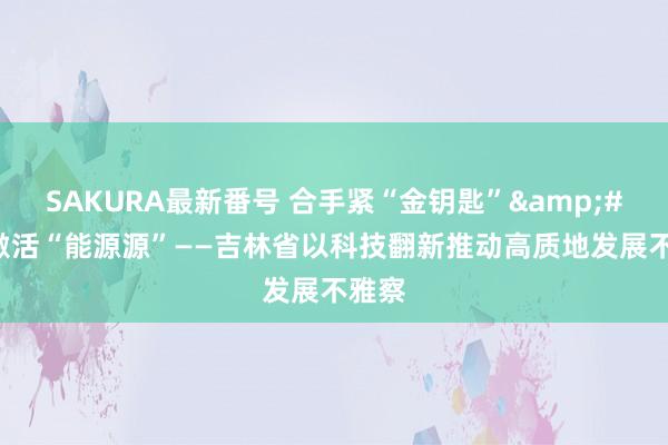 SAKURA最新番号 合手紧“金钥匙”&#32;激活“能源源”——吉林省以科技翻新推动高质地发展不雅察