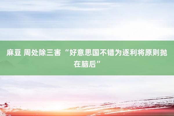 麻豆 周处除三害 “好意思国不错为逐利将原则抛在脑后”