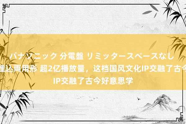 パナソニック 分電盤 リミッタースペースなし 露出・半埋込両用形 超2亿播放量，这档国风文化IP交融了古今好意思学