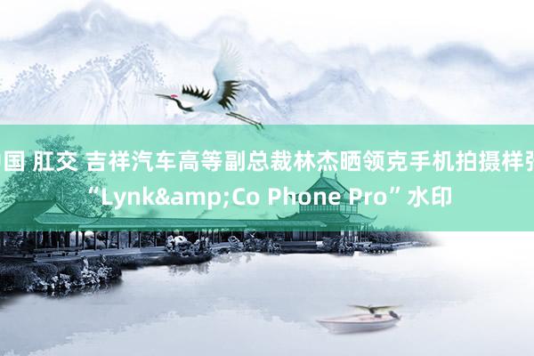 中国 肛交 吉祥汽车高等副总裁林杰晒领克手机拍摄样张：“Lynk&Co Phone Pro”水印