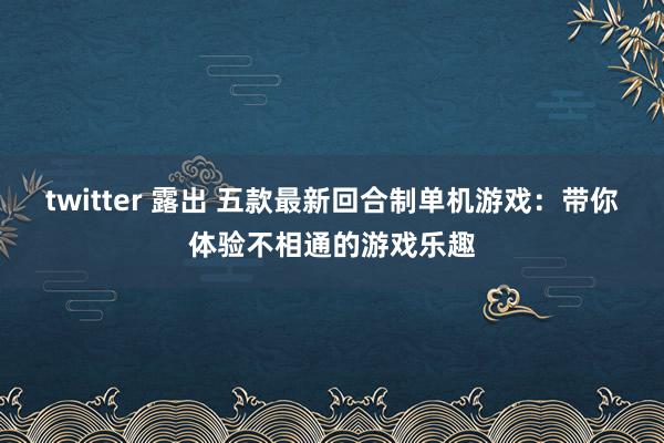 twitter 露出 五款最新回合制单机游戏：带你体验不相通的游戏乐趣