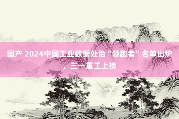 国产 2024中国工业数据处治“领跑者”名单出炉，三一重工上榜