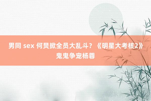 男同 sex 何炅掀全员大乱斗？《明星大考核2》鬼鬼争宠杨蓉